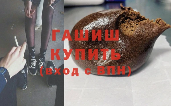 гашик Сосновка
