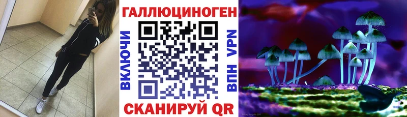 Псилоцибиновые грибы Cubensis  купить  цена  mega tor  Колпашево 