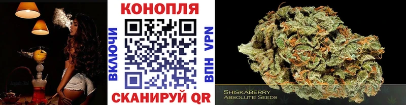 Шишки марихуана конопля купить Колпашево